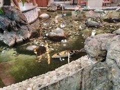 -丰圆轩粤式茶楼 . 点心粤菜(夏茅店)