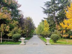 -木塔寺遗址生态公园