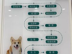 -瑞派康怡24h宠物医院·犬猫医疗中心·微创绝育(瑞景分院)
