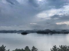 -全乐鱼馆·淳牌有机鱼直营店