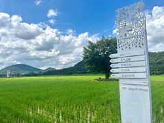 -艾米稻香小镇