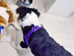 -平行世界·猫咖(首经贸店)