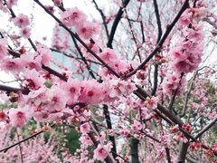 景点-静安雕塑公园