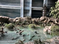 -吉林省自然博物馆