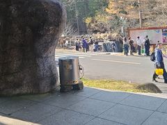 -汤旺河林海奇石景区
