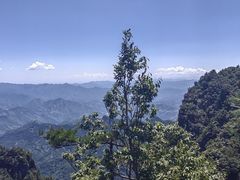 -秦岭天竺山景区