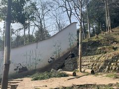 -中国大熊猫保护研究中心雅安碧峰峡基地