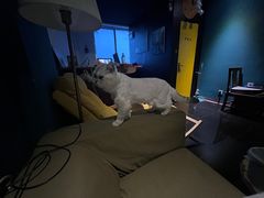 -獨門烤肉(开发区店)