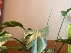 -Wagas沃歌斯(汇智店)