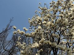 -梅兰芳纪念馆