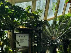 -麦积山温泉