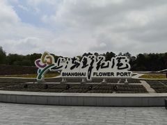 -上海鲜花港