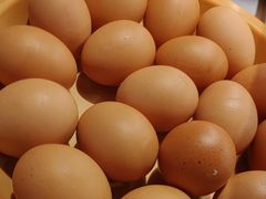 -龍歌自助小火锅(城阳万象汇店)