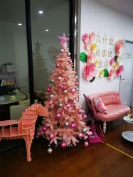-Lab Season惜辰颜究社