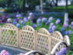 -常州古运河南大街文化旅游区-人民公园