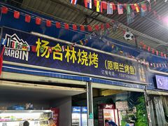 -杨合林啊兰烤鱼