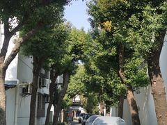 -姑苏家宴·苏帮菜·松鼠桂鱼(苏州总店)