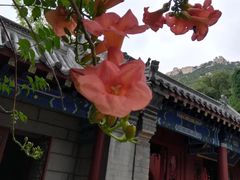 -青岛崂山太清宫