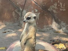 -长鹿旅游休博园