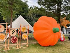 -云栖山谷野奢营地