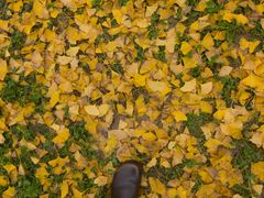 -汉长安城未央宫国家考古遗址公园