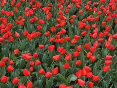 -玄武湖景区-情侣园游乐场