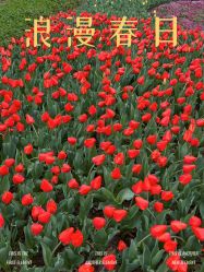 -玄武湖景区-情侣园游乐场