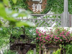 -乌镇景区