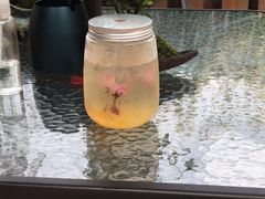 -柴犬高等学院·狗咖·柴犬售卖·宠物训练