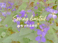 -塘沽森林公园