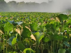 -云龙湖旅游景区