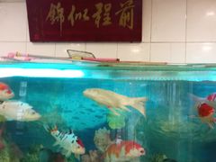 -南来顺饭庄·清真(南菜园店)