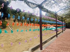 -泉州海丝野生动物世界