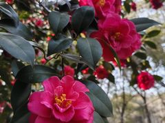 -蜀冈西峰生态公园