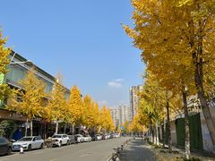 -屋头串串(新街里店)