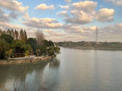 -卓玥国际月子会所(罗山路店)