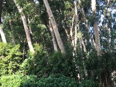 -海珠儿童公园