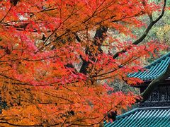 -岳麓山风景名胜区