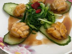 -懒熊月嫂(太仓店)