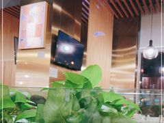 大堂-烹然四季椰子鸡火锅(团结湖总店)