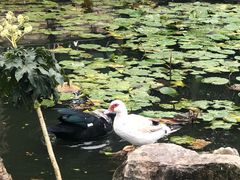 -洪湖家庭农场·团建·露营·会议