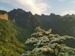 -武当山风景区
