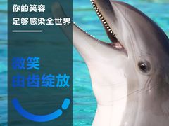 -柏乐口腔医院·舒适化无痛种植牙中心(东盟商务区院)