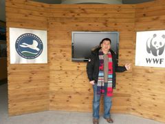 -湖南东洞庭湖国家级自然保护区