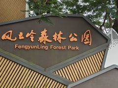 -风云岭森林公园