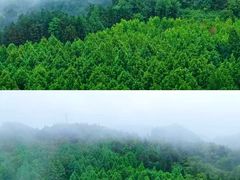 -山王坪喀斯特国家生态公园