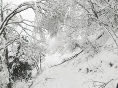 -九峰山