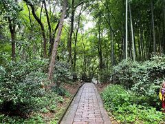 -上海佘山国家森林公园天马山园