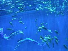 -华夏文旅西安度假区