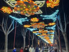 -洛阳市隋唐城遗址植物园